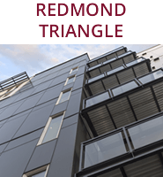 Redmond Triangle